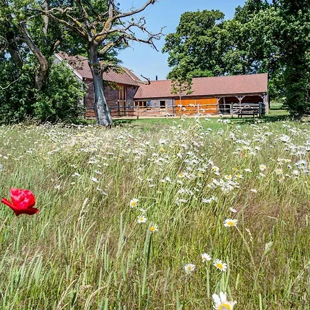 South Park Farm Barn-3