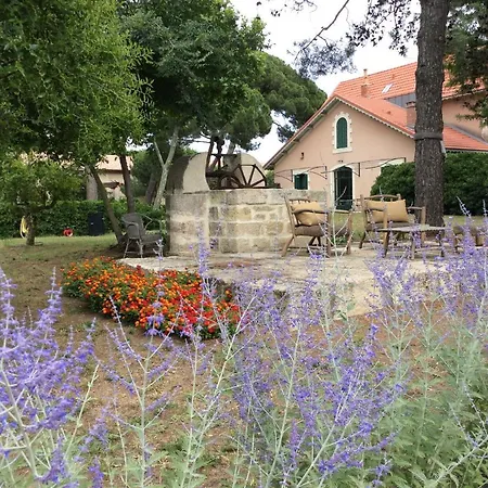 La Maison du Môle-2