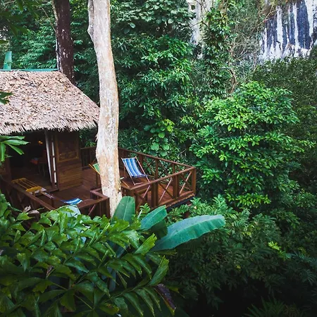 Our Jungle House-3