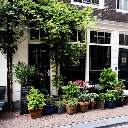 The Blossom House Amsterdam-3