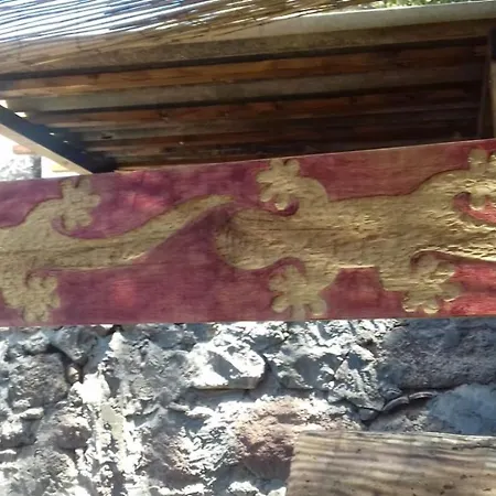 Lagarto-3
