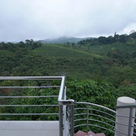Vagamon Tea County-3