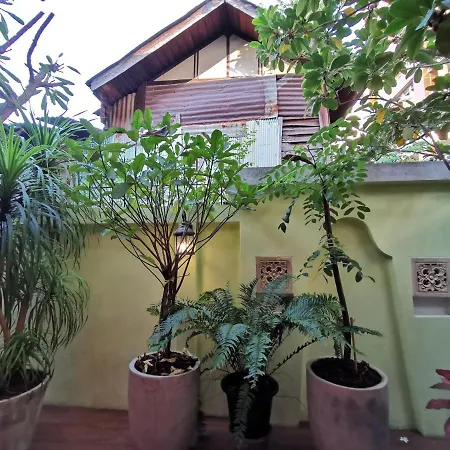 Tavee Guesthouse-3
