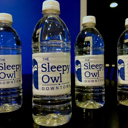 The Sleepy Owl-2
