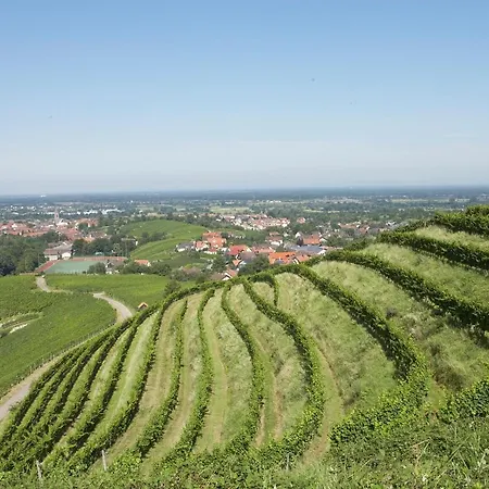 Hotel Residenz Im Schloss Neuweier-3