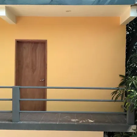 Paziflora Hostel -Starlink--3