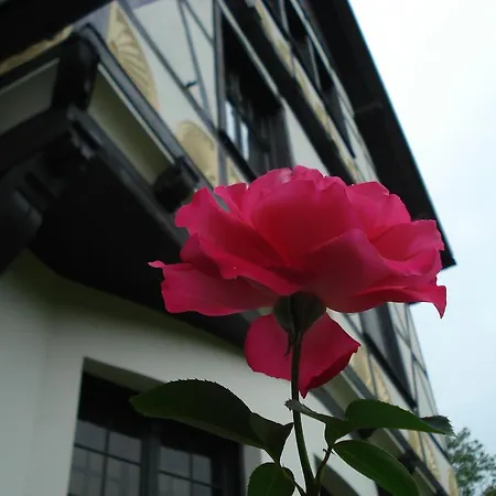 Gutshaus Kubbelkow-3