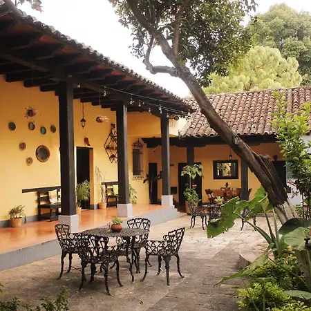 El Naranjo Hotel Finca Urbana-2