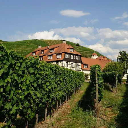 Hotel Residenz im Schloss Neuweier-3