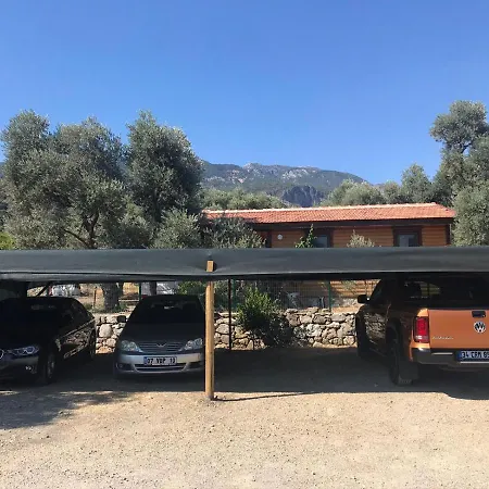 Oliva Casa Datça-3