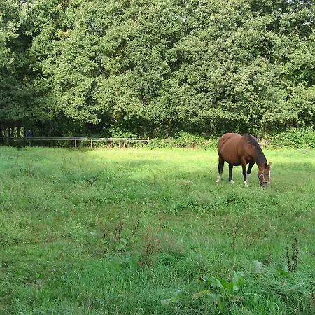Rustpunt Groote Heide-3