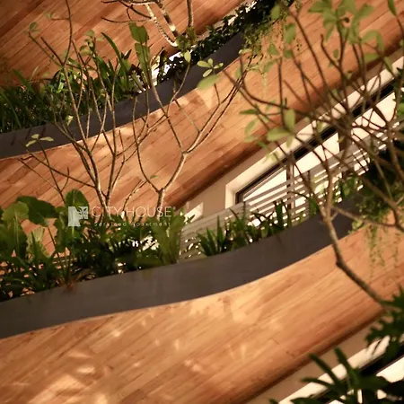 Cityhouse Vibe City Oasis-2