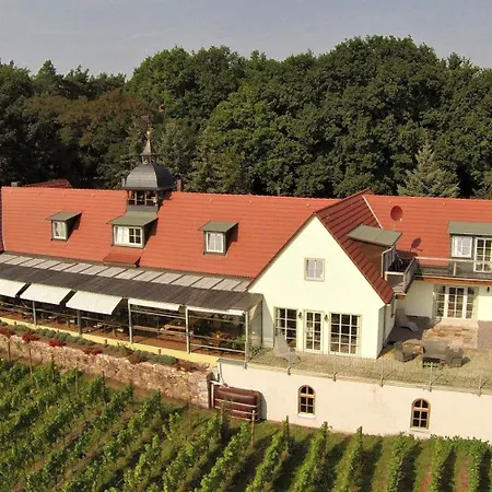 Pension Bella Vista - Winzerhof Golk-3
