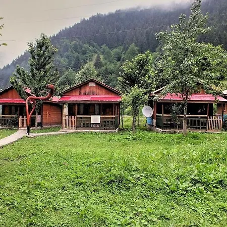 Cancik Dağ Evleri-2