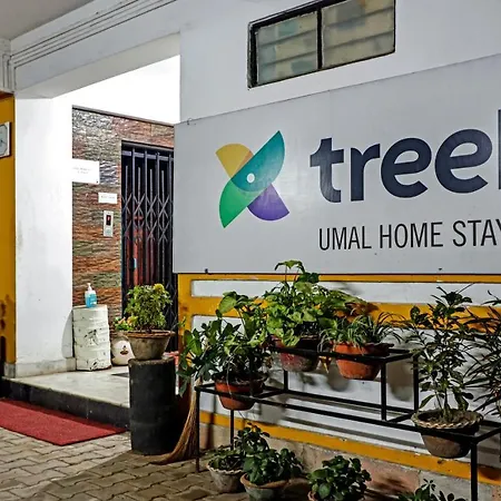 Treebo Umal Homestay Ganeshguri-2