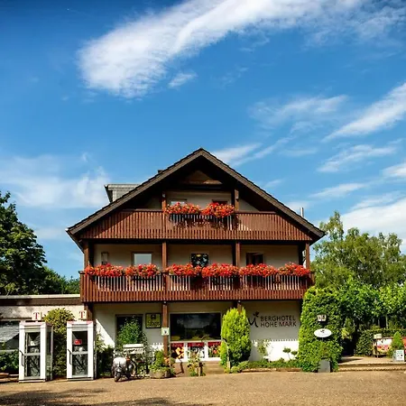 Berghotel Hohe Mark-3