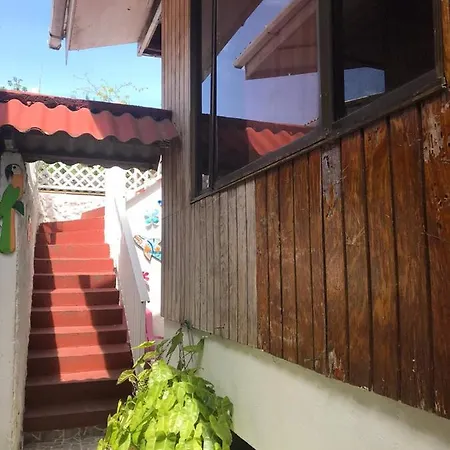 Villa acacias tree-2