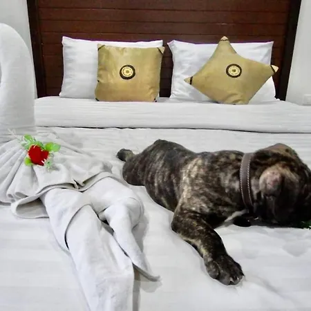 Vivi Boutique Room Hotel Sha Plus-2