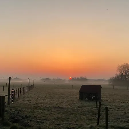 Logies Boszicht Texel-2