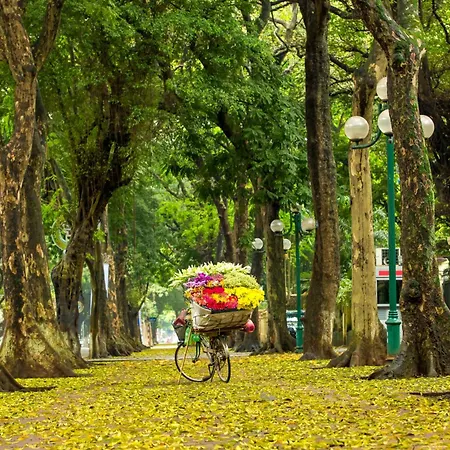 Hanoi Center Silk Hotel & Travel-3