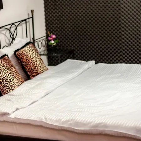 Happy Accomodation-2