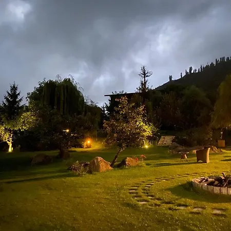 Solang Valley Resort-3