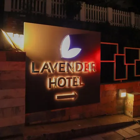 Lavender Infopark Kochi-3