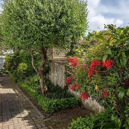 Apollo Lodge - Free Parking-2