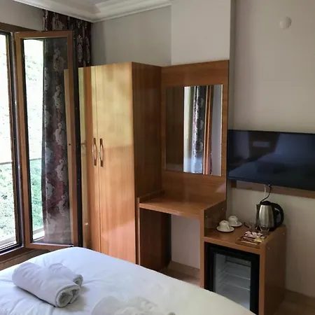 Oris Green Hotel-2