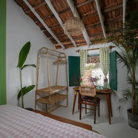 Casa Jaali-3