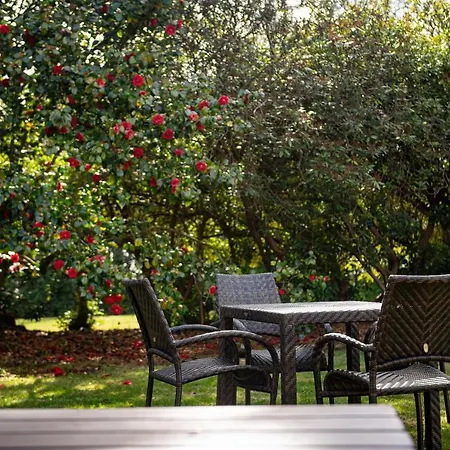 Copthorne Effingham Gatwick Hotel-3