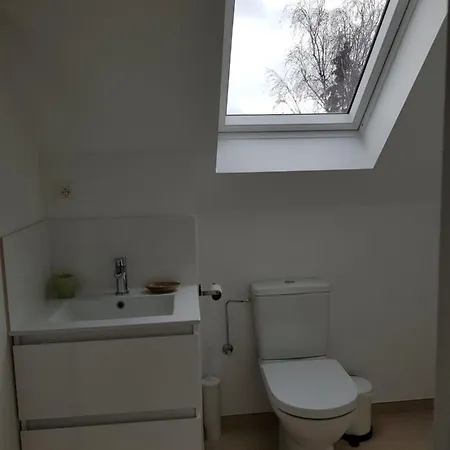 Maison Des Fleurs-3