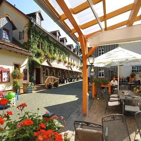 Hotel Zur Fernmühle-2