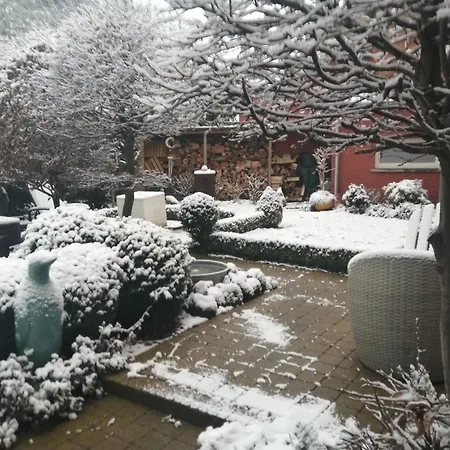 Adamas B&B-3