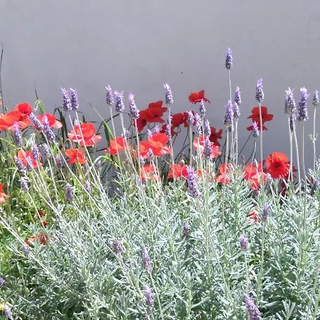Villa Le Clos Fleuri-3