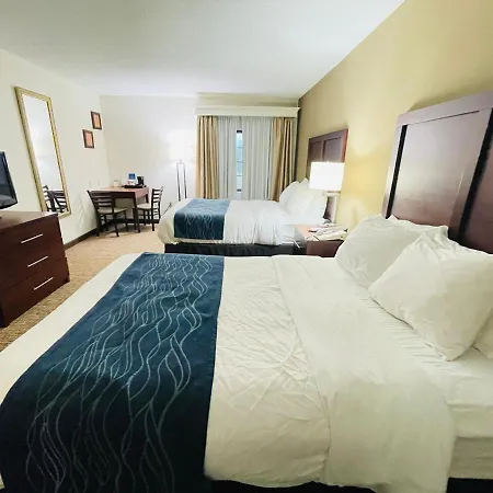 Comfort Inn Downtown - University Area-3