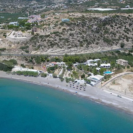 Avra Palm-3