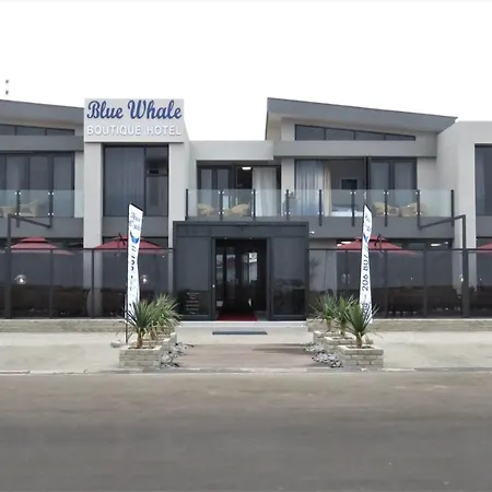 Blue Whale Hotels-3