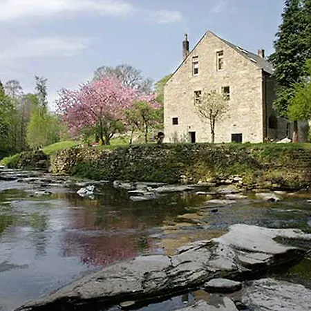 Dilston Mill-2