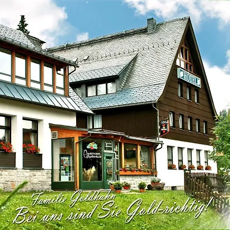 Ferienhotel Mühlleithen-3