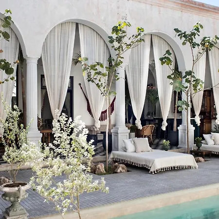 Casa Olivia-2