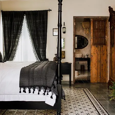 Casa Olivia-3