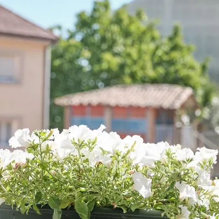 Peregrina Pension 3-3