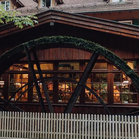 Hotel Zur Alten Muehle-2