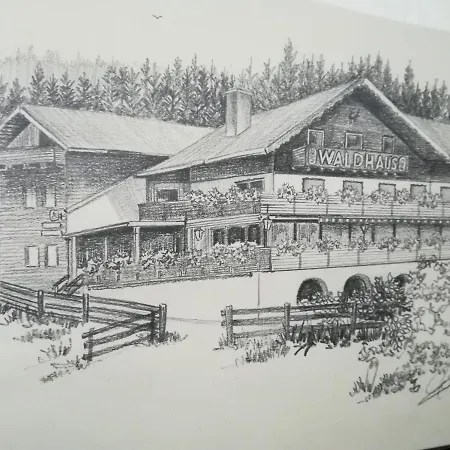 Hotel Waldhaus-3