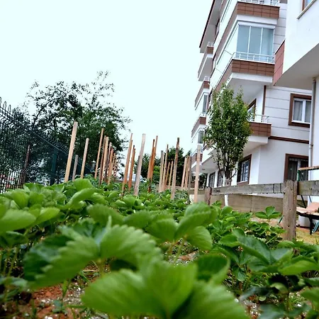 Konaklar Apart Premium-3
