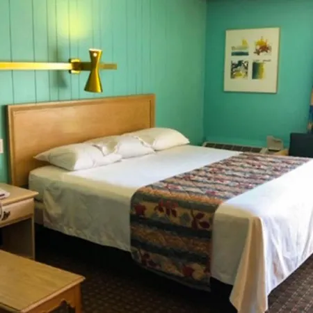 Sunset Inn Manning I 95-3