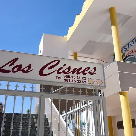 Pension Los Cisnes-2
