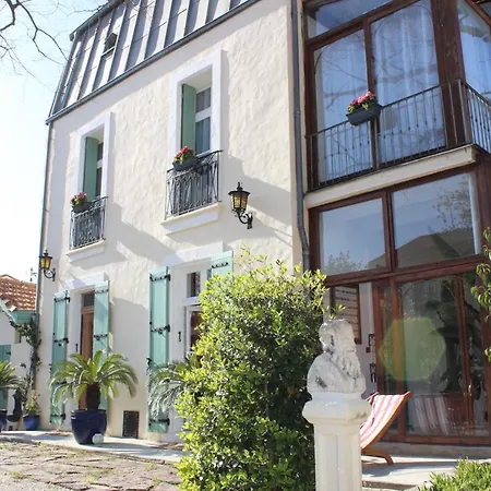 Villa Kumquats-3