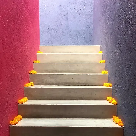 La Betulia Bed And Breakfast-2